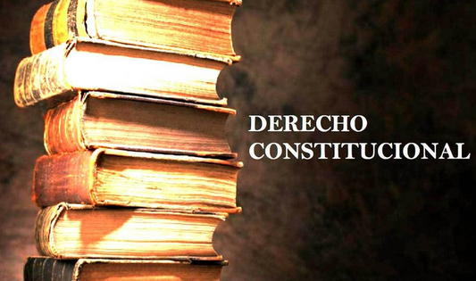 Perito Informático - DERECHO CONSTITUCIONAL