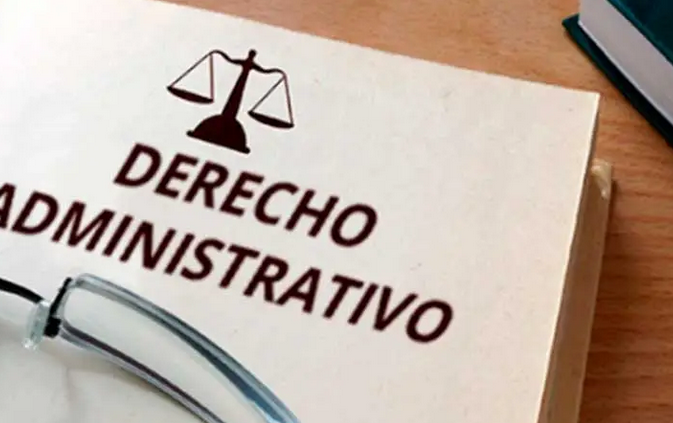 Perito Informático - DERECHO ADMINISTRATIVO GENERAL