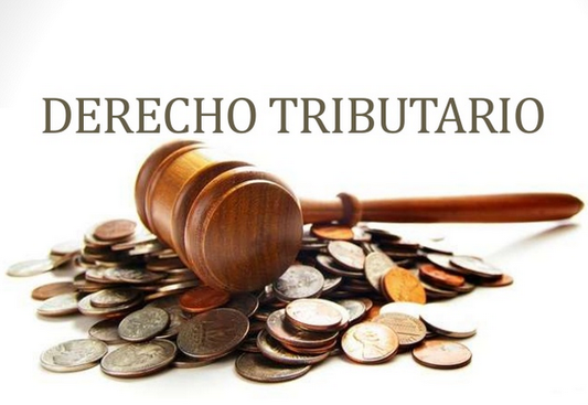 Perito Informático - DERECHO TRIBUTARIO