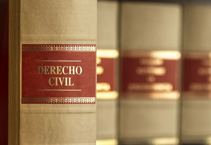 Perito Informático - DERECHO CIVIL