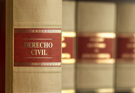 Perito Informático - DERECHO CIVIL