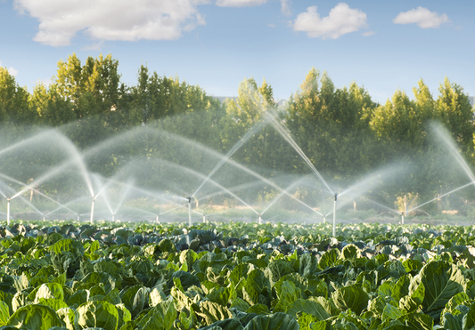 Perito Informático - AGRICULTURA, GANARDERÍA, PESCA Y ALIMENTACIÓN